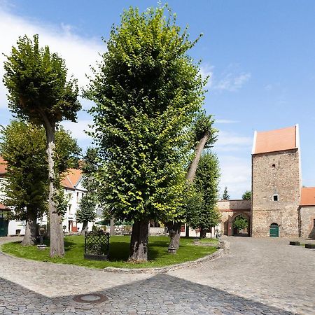 Wasserburg Zu Gommern Экстерьер фото